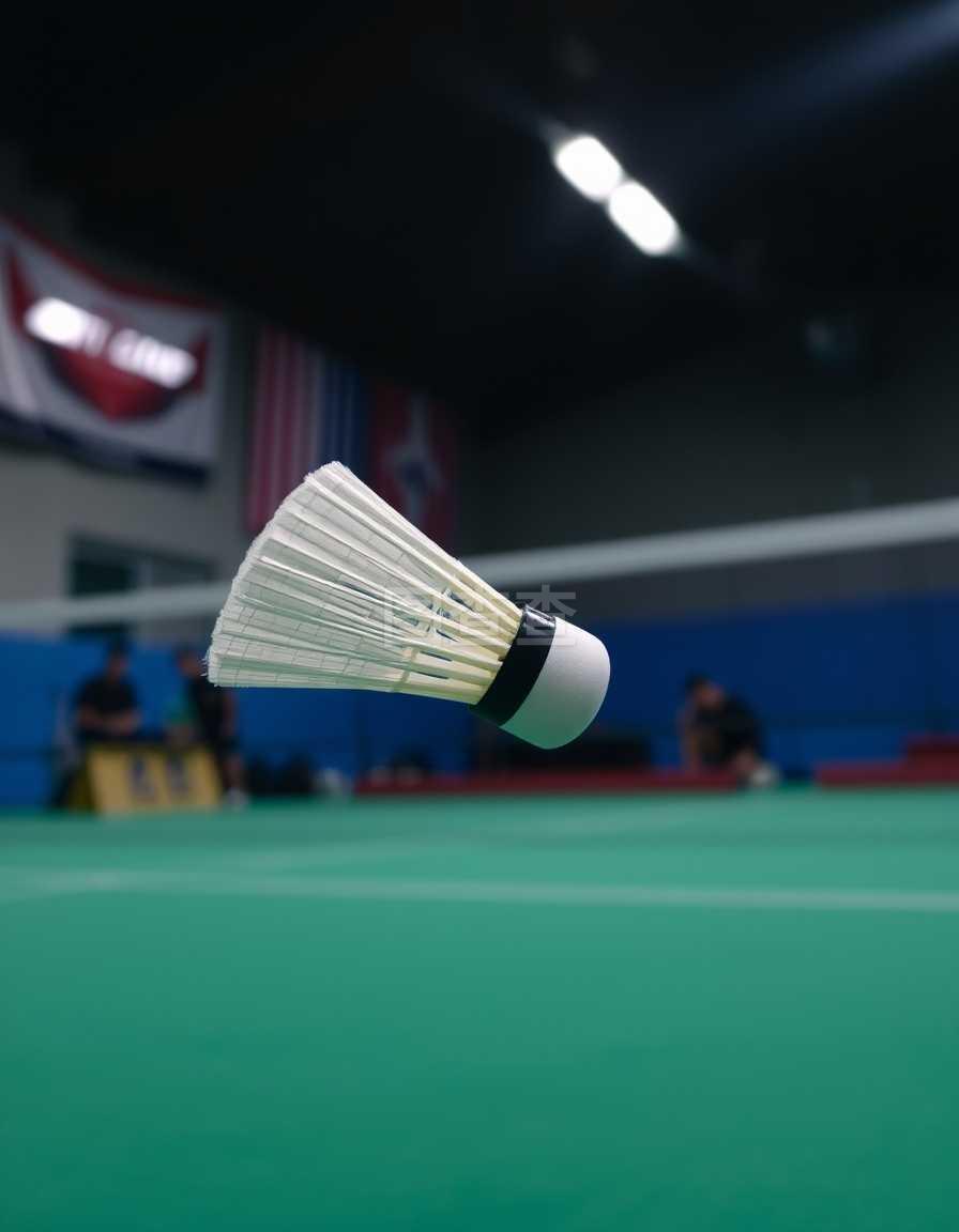 很多人可能 很多人可能